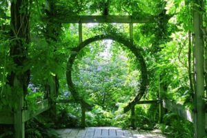 Zen Gateway in Nature